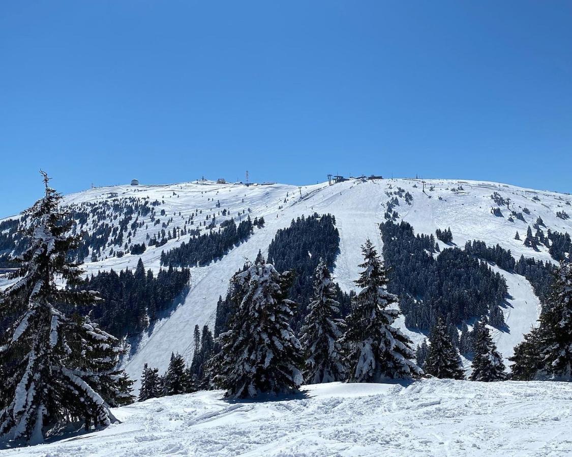 Ski&Spa Milmari L17 Kopaonik Eksteriør billede